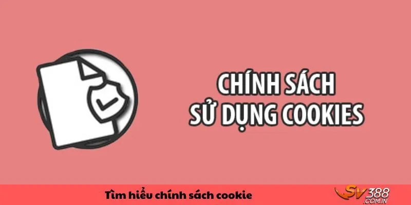 Khái niệm về chính sách Cookie