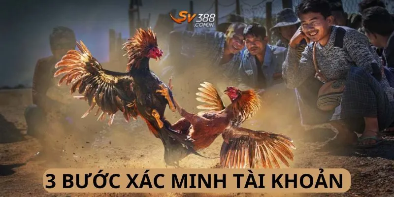 Các hình thức xác minh đăng ký tài khoản phổ biến 