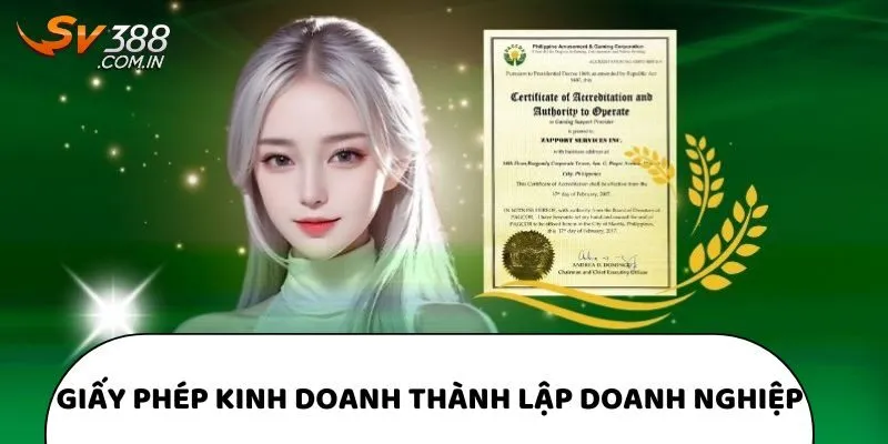 Giấy phép kinh doanh cấp quyền thành lập doanh nghiệp