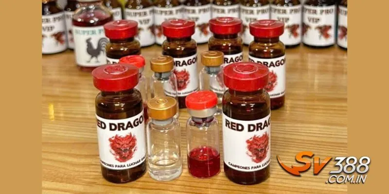 Hướng dẫn sử dụng thuốc nhỏ Red Dragon